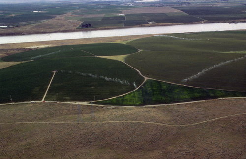 Irrigation à pivot central