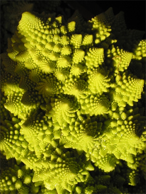 Chou Romanesco