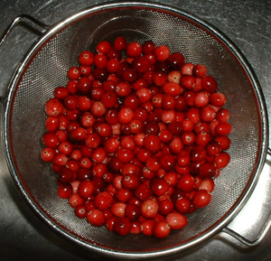 Canneberge (cranberry)
