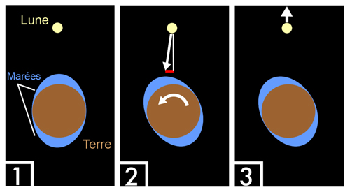 Marées