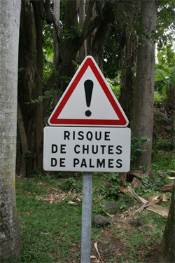 Panneau risque de chute de palmes