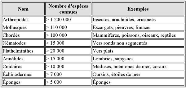 Embranchements du règne animal